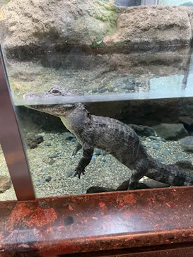 天王寺動物園に投稿された画像（2021/11/21）