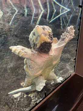 天王寺動物園に投稿された画像（2021/11/21）