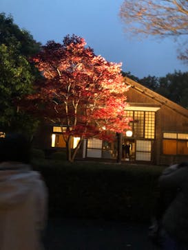 江戸東京たてもの園に投稿された画像（2021/11/21）