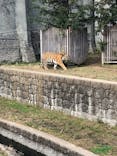 天王寺動物園に投稿された画像（2021/11/22）