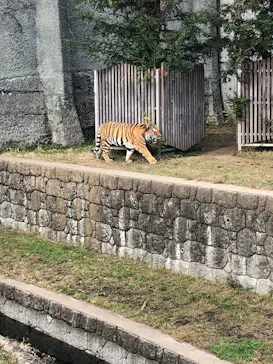 天王寺動物園に投稿された画像（2021/11/21）