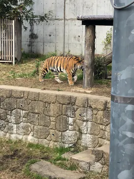 天王寺動物園に投稿された画像（2021/11/21）