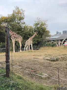 天王寺動物園に投稿された画像（2021/11/21）