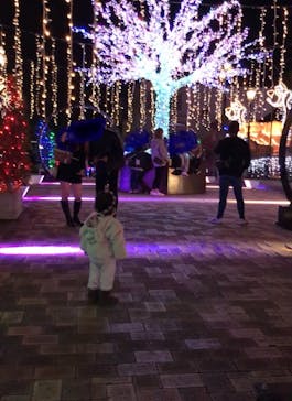 ポルトヨーロッパに投稿された画像（2021/11/21）