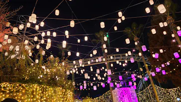 ひらかたパークに投稿された画像（2021/11/22）