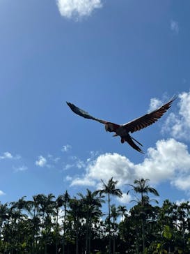 美らヤシパークオキナワ・東南植物楽園に投稿された画像（2021/11/22）