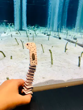 すみだ水族館に投稿された画像（2021/11/22）