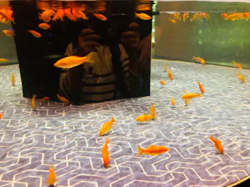 すみだ水族館に投稿された画像（2021/11/22）