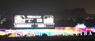 東京メガイルミに投稿された画像（2021/11/22）