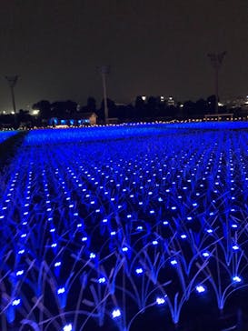 東京メガイルミに投稿された画像（2021/11/22）