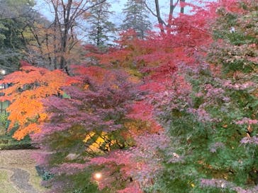 江戸東京たてもの園に投稿された画像（2021/11/22）