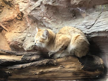 那須どうぶつ王国に投稿された画像（2021/11/22）