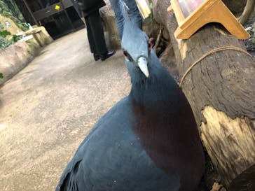 那須どうぶつ王国に投稿された画像（2021/11/22）