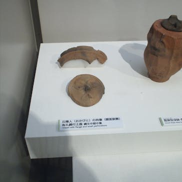 特別展「縄文2021―東京に生きた縄文人―」(江戸東京博物館）に投稿された画像（2021/11/22）