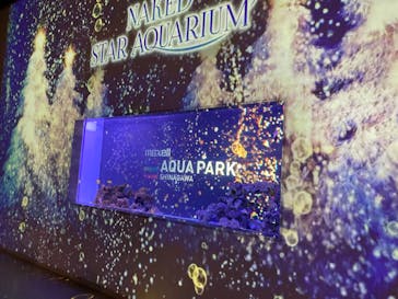 マクセル アクアパーク品川に投稿された画像（2021/11/22）