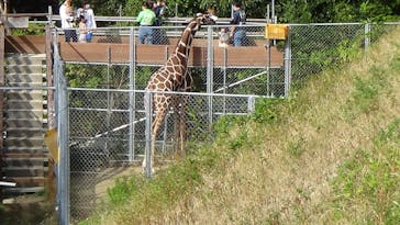 しろとり動物園に投稿された画像（2021/11/22）