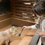 Moff animal world MARK IS みなとみらい店に投稿された画像（2021/11/22）