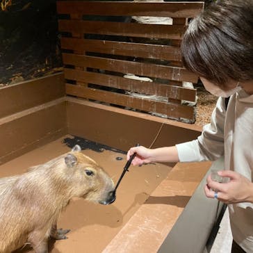 Moff animal world MARK IS みなとみらい店に投稿された画像（2021/11/22）