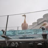 サンシャイン水族館に投稿された画像（2021/11/22）