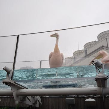 サンシャイン水族館に投稿された画像（2021/11/22）