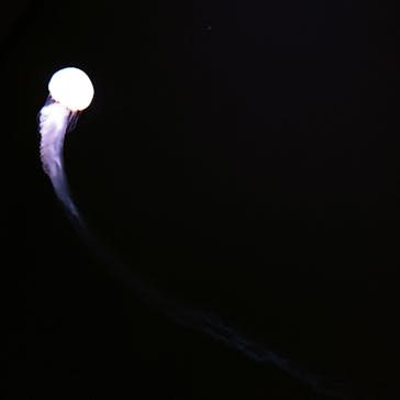 サンシャイン水族館に投稿された画像（2021/11/22）