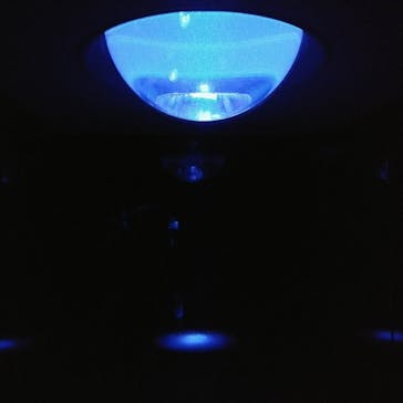 サンシャイン水族館に投稿された画像（2021/11/22）