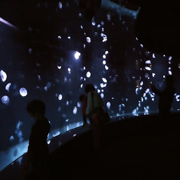 サンシャイン水族館に投稿された画像（2021/11/22）