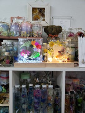 ずこうしつ〜sugamo〜に投稿された画像（2021/11/22）