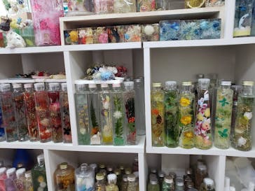 ずこうしつ〜sugamo〜に投稿された画像（2021/11/22）