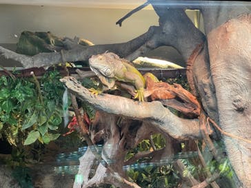 サンシャイン水族館に投稿された画像（2021/11/22）