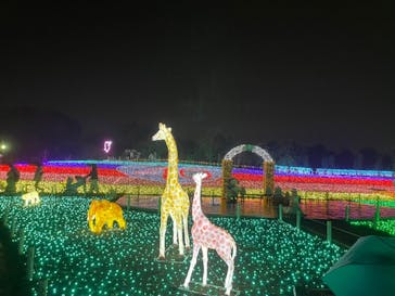 東武動物公園に投稿された画像（2021/11/22）