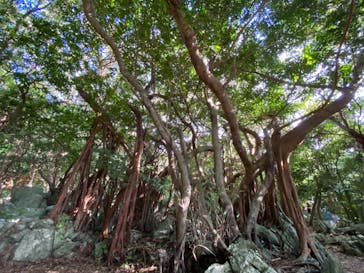 アスムイハイクスに投稿された画像（2021/11/22）