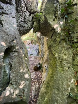 アスムイハイクスに投稿された画像（2021/11/22）