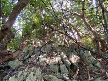 アスムイハイクスに投稿された画像（2021/11/22）