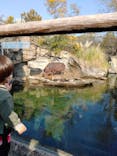天王寺動物園に投稿された画像（2021/11/22）