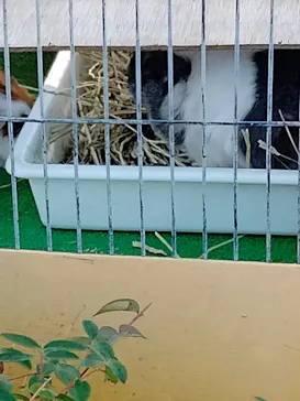 天王寺動物園に投稿された画像（2021/11/22）