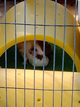 天王寺動物園に投稿された画像（2021/11/22）