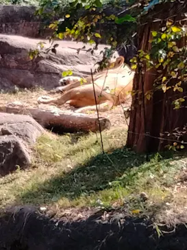 天王寺動物園に投稿された画像（2021/11/22）