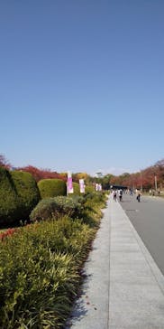 大阪城天守閣に投稿された画像（2021/11/22）