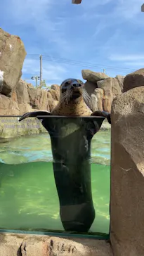 神戸どうぶつ王国に投稿された画像（2021/11/22）