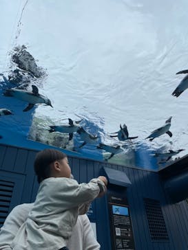 サンシャイン水族館に投稿された画像（2021/11/22）