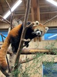 伊豆シャボテン動物公園に投稿された画像（2021/11/22）