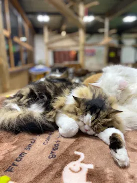 神戸どうぶつ王国に投稿された画像（2021/11/22）