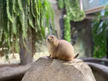 神戸どうぶつ王国に投稿された画像（2021/11/22）