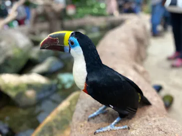 神戸どうぶつ王国に投稿された画像（2021/11/22）