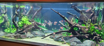 カワスイ 川崎⽔族館に投稿された画像（2021/11/22）