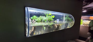 カワスイ 川崎⽔族館に投稿された画像（2021/11/22）