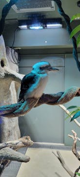 カワスイ 川崎⽔族館に投稿された画像（2021/11/22）