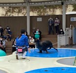 サンシャイン水族館に投稿された画像（2021/11/22）