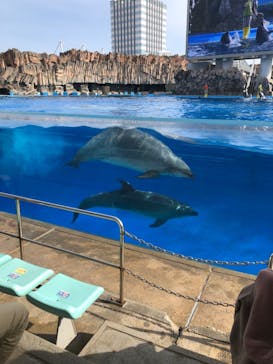 名古屋港水族館に投稿された画像（2021/11/22）